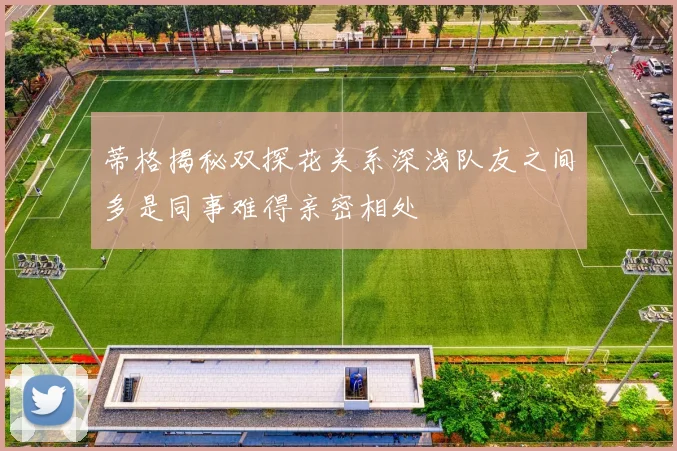 蒂格揭秘双探花关系深浅队友之间多是同事难得亲密相处