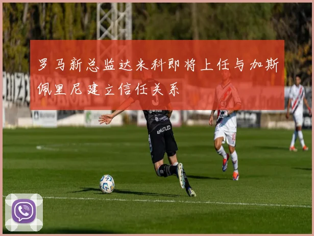 罗马新总监达米科即将上任与加斯佩里尼建立信任关系
